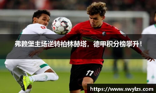 熊猫体育官网