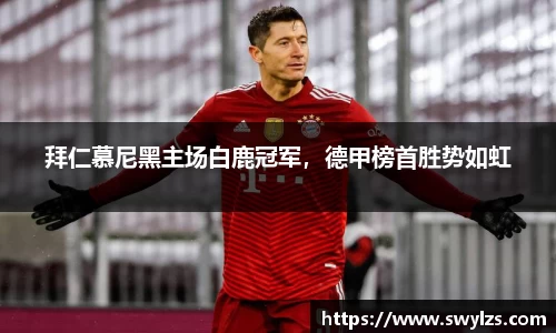 熊猫体育平台官网