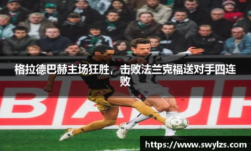 熊猫体育