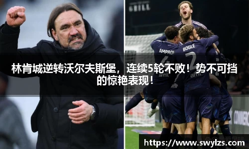 熊猫体育官网
