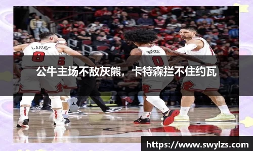 熊猫体育平台官网