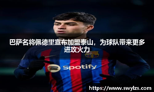 熊猫体育平台官网