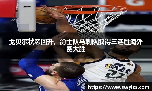 熊猫体育
