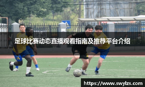 熊猫体育平台官网