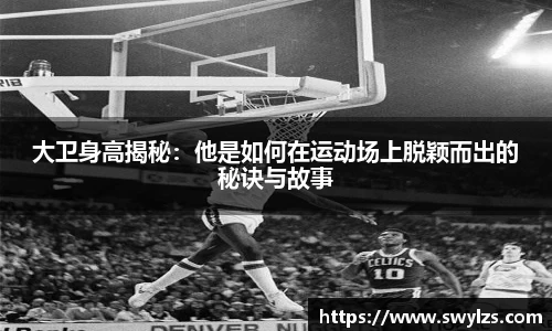熊猫体育平台官网