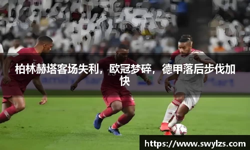 熊猫体育官网