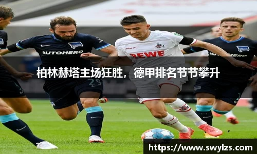 熊猫体育官网